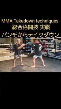 パンチからテイクダウン MMA Takedown techniques #mma #総合格闘技