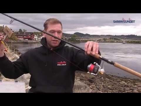Shad fishing at Straumen Skarnsundet