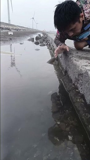 catching stranded big fish by hand