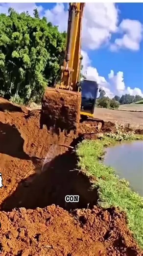 impactante en méxico la naturaleza responde y todo se sale de control #mexico🇲🇽 #viralmexico #mexico #estadosunidosmexicanos