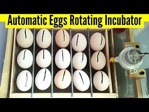 How To Make Fully Automatic Egg Incubator || Bucket Egg Incubator and 100% hatch little chickens
