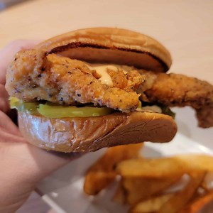 Shaq's Big Chicken - Carnival Radiance - Tammilee Tips