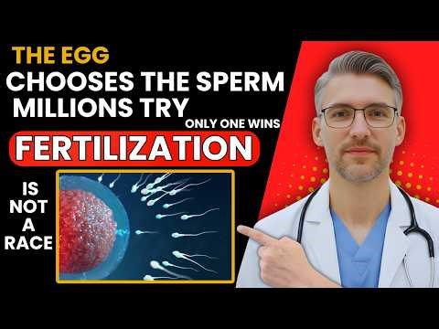 Fertilization - It’s Not a Race, there is a bit of "selective dating" going on
