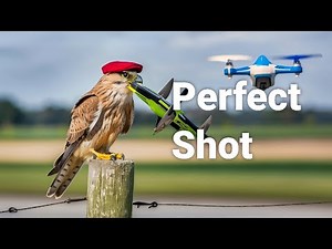Nature's Hovering Hunter: The Common Kestrel Explained