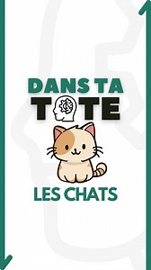 Selon la science, avoir un chat c’est bon pour la santé ! #chat #animaux #apprendre | Maxoureport