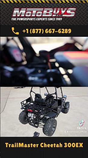 TrailMaster Cheetah 300EX