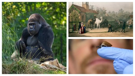 London Zoo is marking its 200th birthday with a year-long series of free behind-the-scenes tours