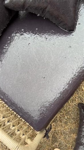 It’s cold in Texas 🥶 | Grizzly Bane