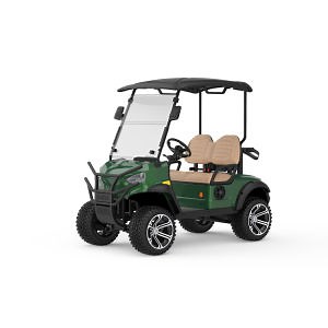 [Hot Item] STARTOUR 2 seater Electric Street Legal Golf Cart (customization acceptable)
