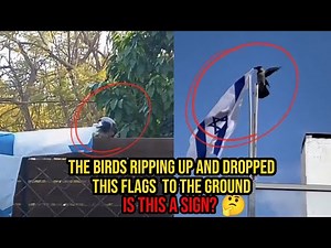 😱 The Moments The Bird Released The Flying Israeli Flag, Is this a sign?