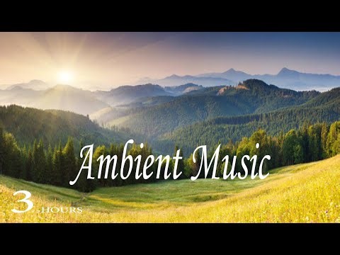Nature & Ambient Bliss 3 Hour Mindful Journey
