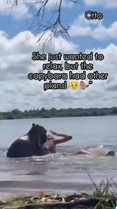 #wildanimals #animals #capybara #attack | James Baes