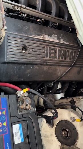 @Funkiefied ‘s multivalve using a sustech engine management 😮‍💨🔥🔥 🔴tuned by:@Richys Service Center #bmw #e30 #multivalve #m50 #sustech #sustechecu #spincar #spincity #gushesh #gusheshe325 #botsotso #SAMA28