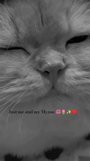 #hindisong #song #love #popular #sad #hijab #hussaini #quotes #unfrezzmyaccount #fypシ゚viral