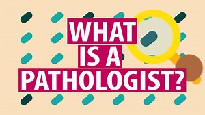 Share our animation to explain what you do! One of the most common questions our members get asked is 'what is a pathologist?' Our new 1-minute animation is a quick and fun way to tell friends and family about your work this #pathologyweek. Find out more at: https://www.rcpath.org/discover-pathology/what-is-pathology.html | The Royal College of Pathologists