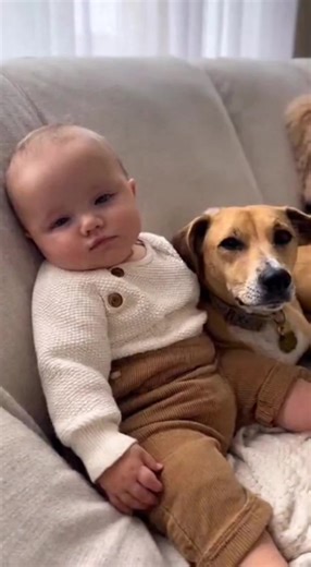 94K views · 3.4K reactions | Copycat  | Tiny Trouble | Facebook