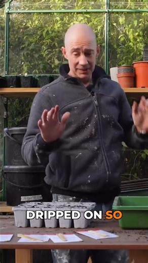 Boost Tomato Germination: The Power of Heat!