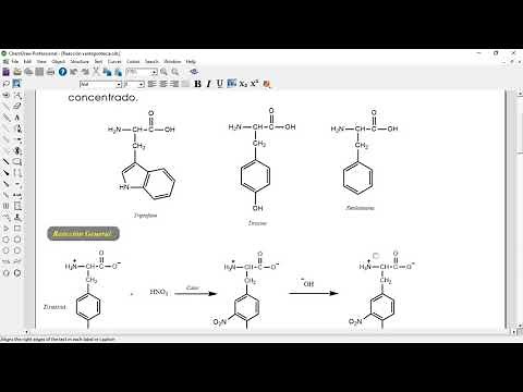 Reacción Xantoprotéica para aminoácidos - Mecanismo Completo.