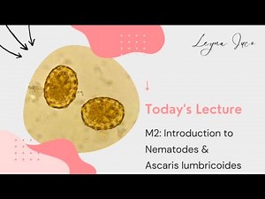 PARASITOLOGY-M2: INTRO TO NEMATODES & Ascaris lumbricoides