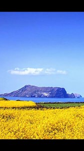 Spring landscapes | Korean beauty