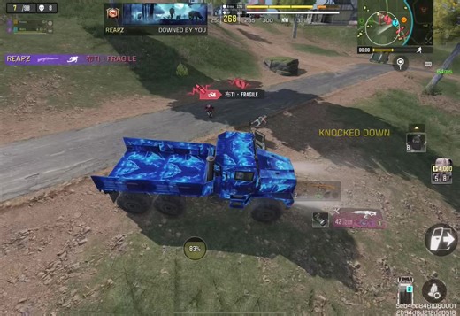 COD Mobile游戏攻略与技巧分享