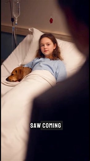 On Christmas Eve, a single dad found a little girl and her dog sleeping in the trash… ❗️ FULL STORY IN THE FIRST COMMENT 👇 | Entertainment Express