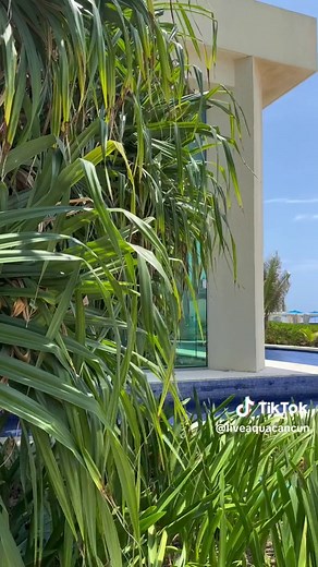Find your peace where the waves kiss the shore 🌊 Welcome to Live Aqua Cancun✨#fyp #fypシ #fypシ゚viral #aquacancun #cancun #cancunmexico #mexico #travel #traveltiktok #traveltok #trip #parati #viral #vacation #vacays #beach