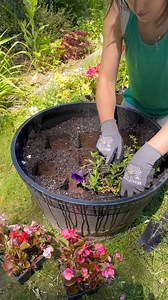 305K views · 1K reactions | Best garden hack!  This video was produced by Network Media and Lauren H | Think Smart Prank Hard | Facebook