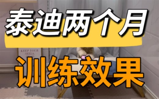 七个月的泰迪训练部分效果，你们会喜欢吗