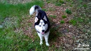 rachel ward on TikTok