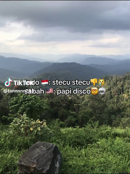 Discover the Origins of Papi Disco Music