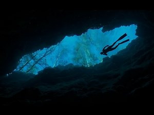 Freediving the Caves at Ginnie Springs Part 1 - The Amazing Dives of the World - The Other Blue