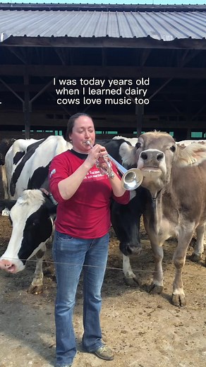 291 reactions · 17 shares | Happy National Farmer’s Day to all our dairy farmers who go above and beyond for their cows. Dairy farmers do more for their cows’ well-being than you might think. Learn more about everything they do (including live music朗): https://www.usdairy.com/news-articles/cow-care | Undeniably Dairy | Facebook