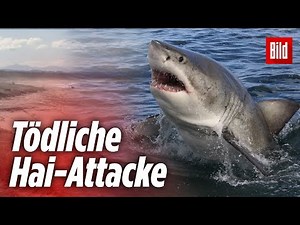 Hai beißt Surfer in Oberschenkel – tot
