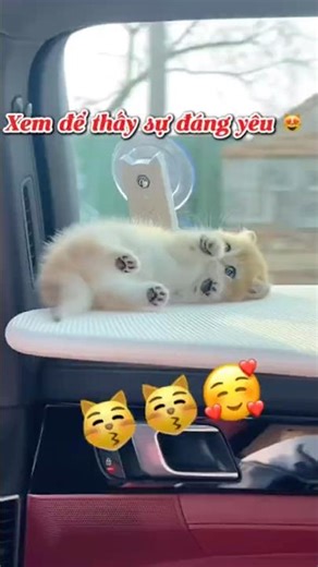 Em đáng yêu quá😍