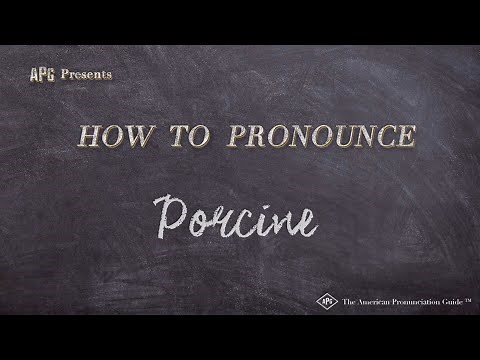How to Pronounce Porcine (Real Life Examples!)