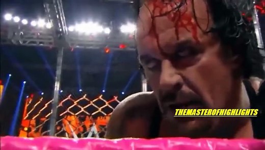 Brock Lesnar VS Undertaker Hell In A Cell 2015 Highlights [HD]