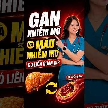 What Is the Link Between Fatty Liver and High Cholesterol? Explained by Doctor | Dr. Thuy Dung