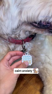 Calm Your Pet in a Snap! 🐶🐱 ZenPatch uses natural ingredients like Lavender and Vanilla to keep your pet relaxed all day. Whether it’s thunder or separation, this easy-to-use, collar-attached sticker soothes your pet’s anxiety without the fuss of oral supplements. ZenPatch: A simple solution for a calmer, happier pet! | NATPAT - Natural Patch Co.