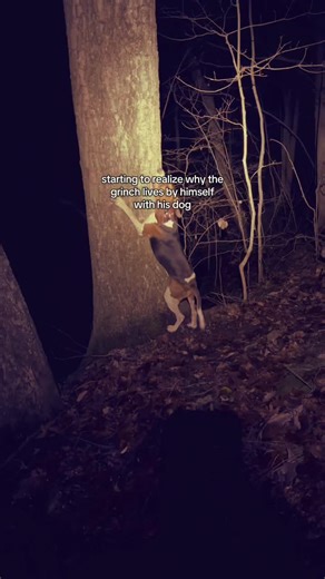 Jack Paquette Coon Hunting (@jpcoonhunting)’s videos with One more light - 🥷