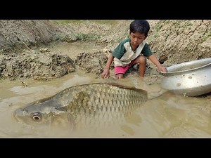 Amazing Hand Fishing Video 2023 | Traditional Little Boy Catching Fish By Hand In Canal Mud Water