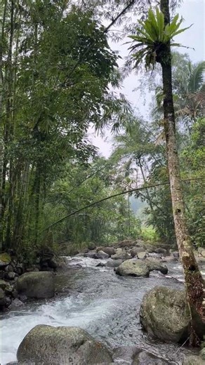 Instant Deep Relaxation: Crystal Clear River Sounds for a Calm Mind" #sleepmusic #nature