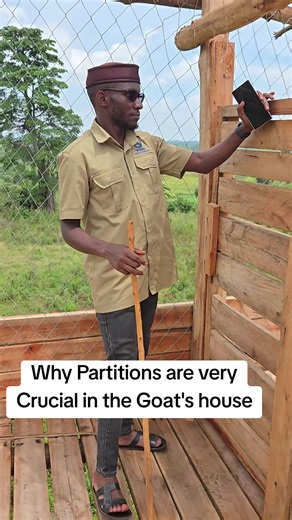 The Importance of Partitions in Goat Housing
