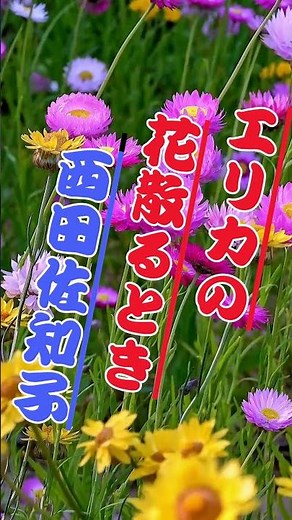 エリカの花散るとき 西田佐知子 人生の想い出の唄。人生を楽しみましょう。。 #automobile #哀愁 #旅行 #https #昭和歌謡