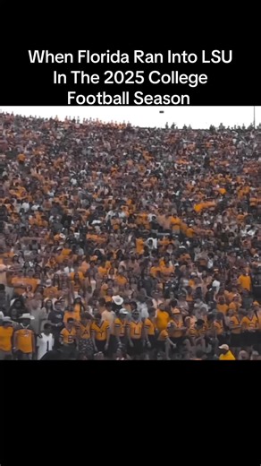 LSU Dominates Florida in 2025 College Football Showdown