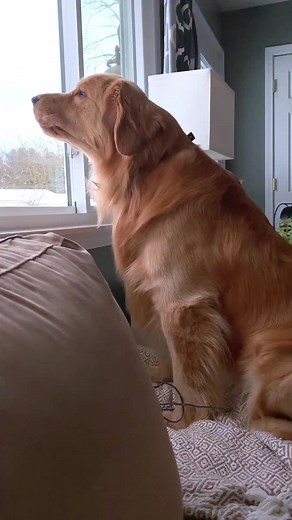 Monday Mood with Tucker Budzyn