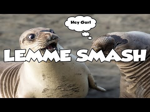 Lemme Smash - Compilation