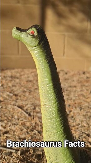 Brachiosaurus Facts