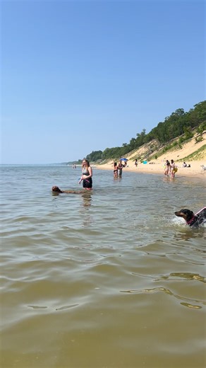#melraedobermans #lakemichigan #dobermanpinscher #gofetch #swimming #lakedogs #salish | Dobermans of Melrae