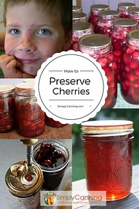 Cherries can be preserved in many ways. Recipes, tips, and tricks...